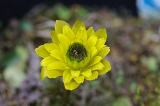 IMGP7653