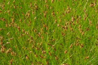 201008-IMGP0471