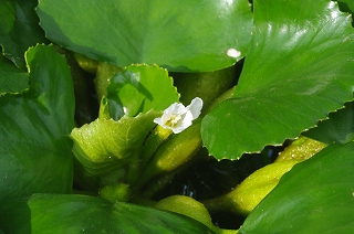 201008-IMGP0564
