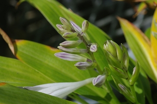 201009-IMGP0789
