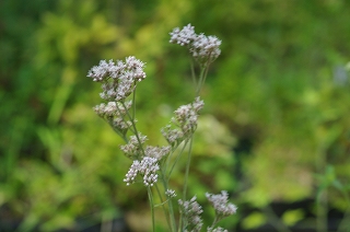 201009-IMGP0791