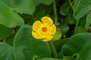 201009-IMGP0806