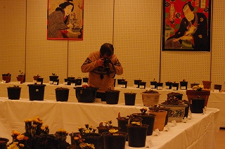 201201-IMGP7326 201201-IMGP7326