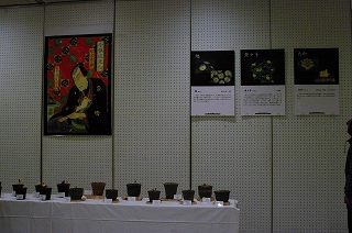 201201-IMGP7497 201201-IMGP7497