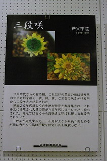 201201-IMGP7514 201201-IMGP7514