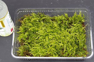 201806_igp7130 201806_igp7130