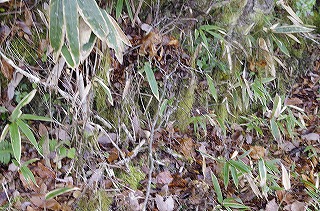 _IGP4089 _IGP4089