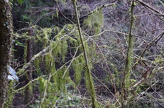 _IGP4131 _IGP4131