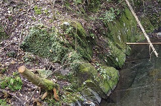 _IGP4146 _IGP4146