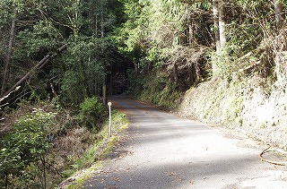 _IGP4157 _IGP4157
