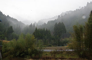 _IGP4480 _IGP4480