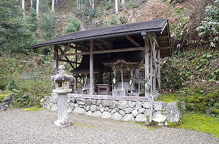 _IGP4517 _IGP4517