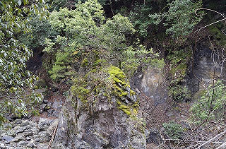 _IGP4615 _IGP4615
