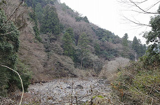 _IGP4617 _IGP4617