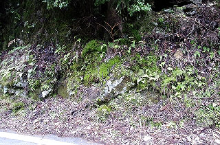 _IGP4794 _IGP4794