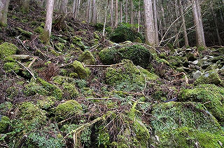 _IGP5022 _IGP5022
