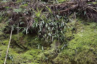 _IGP5049 _IGP5049