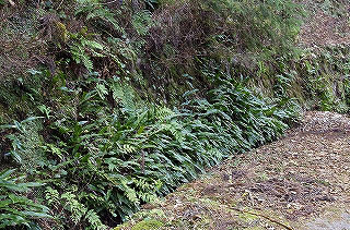 _IGP5064 _IGP5064