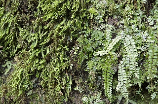 _IGP5089 _IGP5089