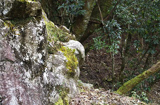 _IGP5139 _IGP5139
