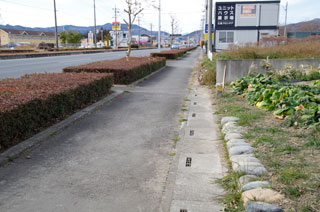 _IGP6019 _IGP6019