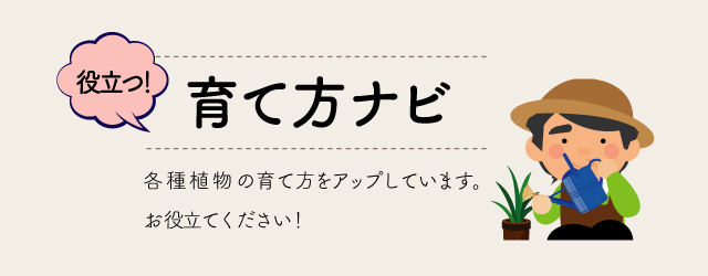 育て方ナビ
