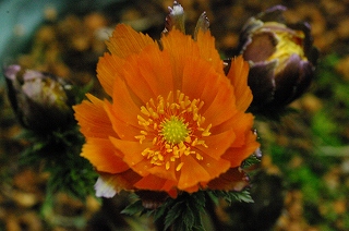 201203-IMGP9377