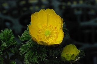 IMGP9460