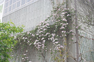 201205-IMGP2140