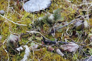 201302-IMGP0117