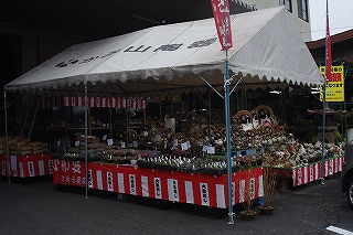 IMGP3558
