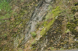 IMGP1045