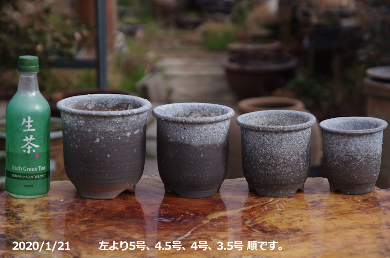 雪割草の植木鉢 ４．０号 ３０枚セット - 園芸用品