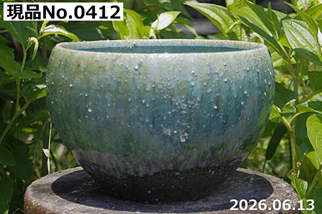 山野草の石田精華園 / 信楽焼 睡蓮鉢 陶器 メダカ鉢 選べる手びねり