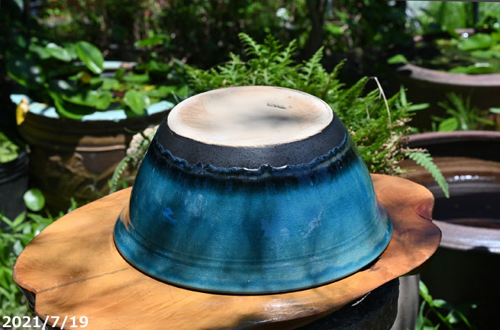 驚きの値段信楽焼 メダカ鉢 睡蓮鉢 水鉢 水盤 花瓶 花入れ ブルー変形 購入超特価 信楽焼 壷久郎作 メダカ鉢 睡蓮鉢 水鉢 直径32cm 魚用品/水草