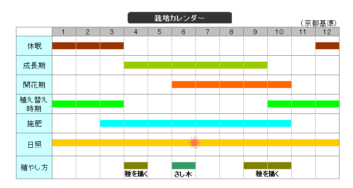 山野草の石田精華園 濃桃色カワラナデシコ 3号 9cmポット 野草系宿根草 好日性植物 山野草